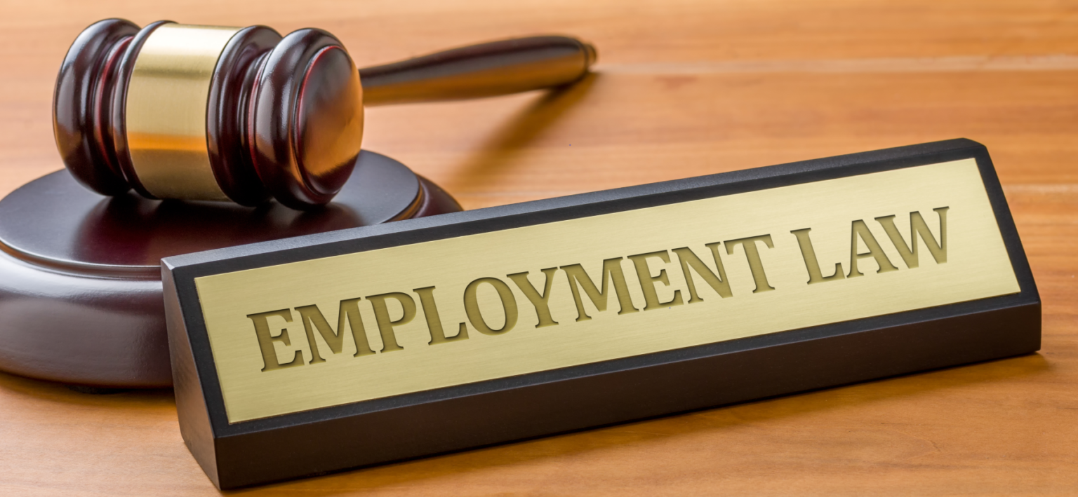 Understanding Federal Employee Rights in Virginia